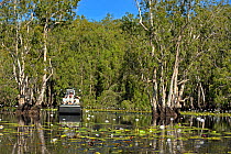Tourist air boat safari in Bamarru Plains, North West Territories, Australia, April 2007