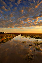Sunrise over wetlands of Bamarru Plains, North West Territories, Australia, May 2009