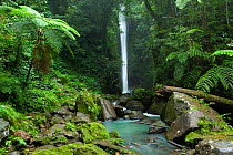 Casaroro Falls, near Dumaguete, Negros, Philippines