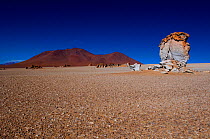 Arid plains of the Dali desert with eroding rock stacks and mountain on horizon. Bolivian altiplano, South America.