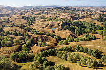 Hilly farmland with scattered trees and small farm ponds, seen from a helicopter. Hawkes Bay, North Island, New Zealand
