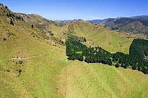 Steep hill country farmland with scattered trees on the edge of the Ruahine Ranges, seen from a helicopter. Near Ashley Clinton, Hawkes Bay, North Island, New Zealand