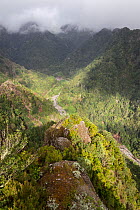 View from a lookout down into the river valley below, Ribeira Frio, Madeira, North Atlantic. May.