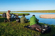 Photographers lined up to photograph avocets on Texel, the Netherlands, May 2012