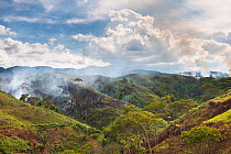 Landscape of deforested Cloud forest habitat, the forest is cleared to make room for Coca (Erythroxylum coca) plantations, Bolivia, November