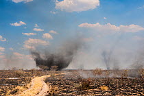 Bushfire and dust devils in the Central Kalahari Game Reserve, Botswana, November