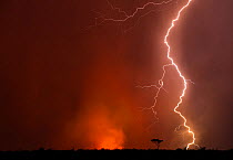 Storm over the Central Kalahari Game Reserve, lightning sstrikes are the predominant cause of bush fires, Botswana, November