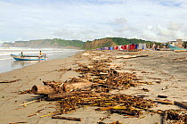 Driftwood washed up on beach after flooding, Canoa, Ecuador. February 2012.