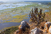 Pantanal as seen from Caracara Hill, Amolar mountains, Matogrossense National Park, Pantanal, Brazil