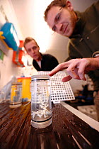 Dr. Hennige (right) and Dr. Roberts (left) from Heriot-Watt University seal a respiration chamber to assess metabolism of cold water coral (Madrepora oculata), Norway, September 2011, editorial use on...