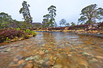 Wide angle view from middle of river (Lui Water). Braemar, Cairngorms National Park, Grampian Mountains, Scotland, UK, February 2012.