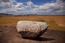 Maasai gong rock found at Moru Kopies. This rock produces music when pounded on with another rock. Various notes are made depending on where the rocks are hit and worn places can be seen where this oc...
