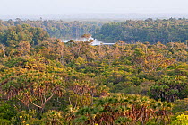 View from Mulikani Bandas, near Kipini, Lower Tana river delta, Kenya, East Africa