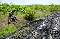 Tana River delta is remote and heavy rain showers make the black cotton soil tracks impassable for cyclist, Kenya, East Africa