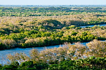 Looking across waterways and mangrove forests of the Tana River Delta, Kenya, East Africa
