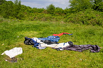 Camping rubbish strewn over Killay Local Nature reserve, Swansea, Wales, UK, June 2009