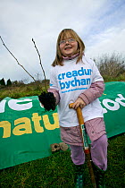 Child volunteer for Breathing Spaces tree planting project, planting trees and shrubs in deprived area of Swansea, Wales, UK. December 2009