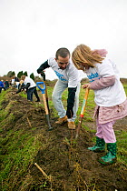 Breathing Spaces tree planting project, children and volunteers planting trees and shrubs in deprived area of Swansea, Wales, UK, December 2009