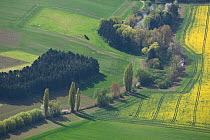 Aerial landscape in spring with flowering rape field,  trees and hedgerows, green meadows, and trees following a stream to a pond. Southeast of Elm, Lower Saxony, Germany, April 2012.