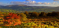 View over Crickhowell and The Sugarloaf, Brecon Beacons National Park, Powys, Wales, UK, October