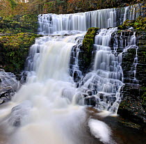 Sgwd Isaf Clun-gwyn waterfall. Ystradfellte, Brecon Beacons National Park, Wales, November 2011.