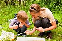 Woman and boy looking in jar whilst pond dipping on a Froglife reptile and amphibian walk, Palacerigg Country Park, Cumbernauld, North Lanarkshire, Scotland, UK, July 2011. 2020VISION Book Plate.