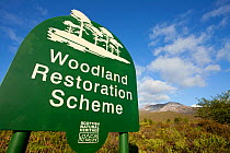 Woodland restoration scheme, sign and view of habitat with Beinn Eighe in background, June, Beinn Eighe NNR, Scotland, UK