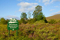 Woodland restoration scheme, sign and view of habitat with Beinn Eighe in background, June, Beinn Eighe NNR, Scotland, UK