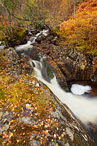 Stream through woodland, Glen Affric, Scotland, UK, October