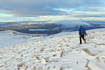 Hill walker descending Choire Chais in winter with view to Loch Morlich. Cairngorms National Park, Scotland, December 2011.