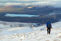 Hill walker descending Choire Chais in winter with view to Loch Morlich, Cairngorms National Park, Scotland, December 2011.