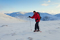 Cross-country skier on snow. Cairngorms National Park, Scotland, December 2011.