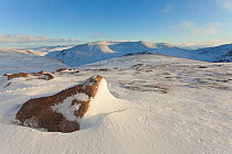 Cairngorm Mountains in winter, view to Beinn Mheadhoin, Cairngorms National Park, Scotland, December 2011.