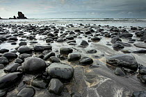 Pebbles on beach. Talisker Bay, Isle of Skye, Scotland, UK, October 2011