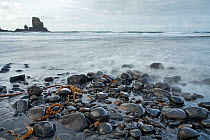 Pebbles on beach. Talisker Bay, Isle of Skye, Scotland, UK, October 2011.
