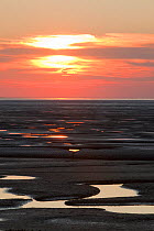Sunset reflected from mudflats. The Wash Estuary, Norfolk, October 2011.