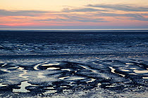 Mudflats at sunset. The Wash Estuary, Norfolk, September 2011.