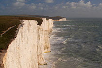 Seven Sisters chalk cliffs. South Downs, England, November 2011.