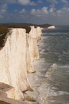 Seven Sisters chalk cliffs, South Downs, England.