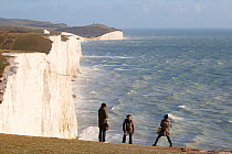 People taking pictures in front of Seven Sisters chalk cliffs with rough seas. South Downs, England, November 2011.