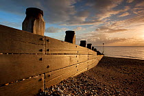 Breakwater on pebble beach at dawn. Selsey, England, November 2011. Did you know? Sir Patrick Moore lived in Selsey for 44 years.