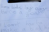 Written notes of a school child learning about upland ecology as part of Flora of the Fells day. Helvellyn, Lake District National Park, Cumbria, September.
