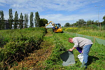Ecologist Brett Lewis checking refugia as part of reptile mitigation project on brownfield site scheduled for development. Kent, UK, June 2012.