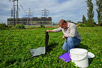 Ecologist Brett Lewis checking refugia as part of reptile mitigation project on brownfield site scheduled for development. Kent, UK, June 2012.