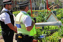 Swansea community police liaising with allotment holders, in community allotment on former football pitch - Vetch field, Swansea West Glamorgan, Wales, UK, June 2006. Editorial use only