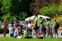Members of the public and volunteers gathered to inspect mammal skulls and footprint casts shown by mammalogist Gill Brown during Arnos Vale Cemetery Bioblitz, Bristol, UK, May 2012