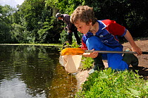 Boy inspects his net after pond-dipping as his mother peers into the water during Abbots Pool and woodland reserve Bioblitz, Bristol, UK, June 2012. Model released.