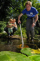 Family pond dipping during Abbots Pool and woodland reserve Bioblitz, Bristol, UK, June 2012. Model released.