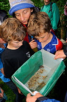 Mother and children looking at young Wood mouse / Long-tailed field mouse (Apodemus sylvaticus) live-trapped during a Bioblitz survey at Abbots Pool and woodland reserve, Bristol, UK, June 2012. Model...