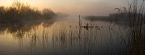 Shapwick National Nature Reserve at dawn. Previously an old peat extraction site, now filled with water and managed for nature conservation as part of the large low-lying wetland called the Somerset L...
